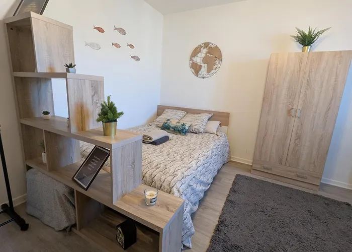 Le De La Gare, 5min Gare, Centre ,thermes Dax